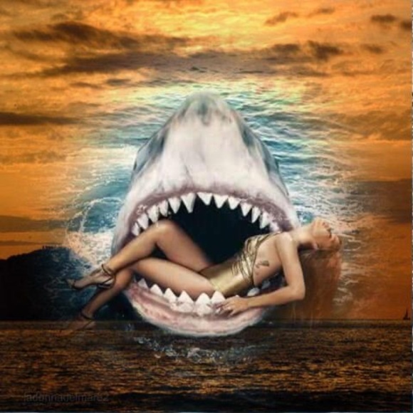 Meet your Posher, Victor - Picture 1 of 1